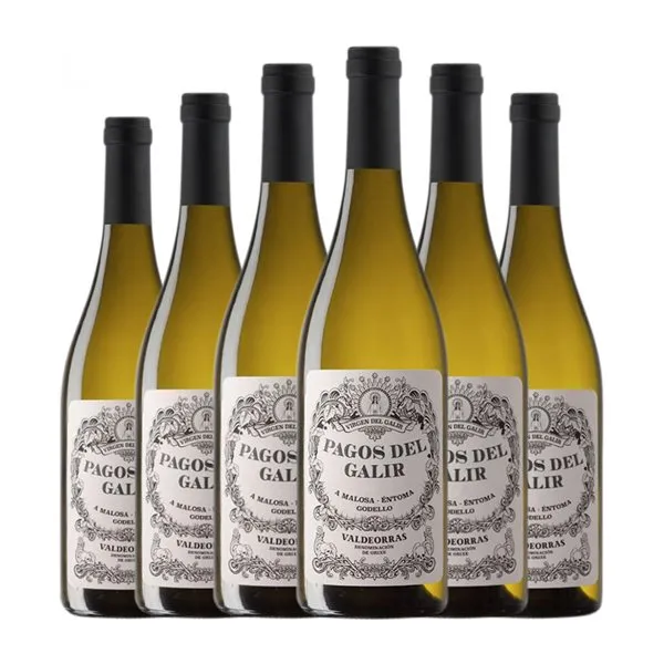 Virxe de Galir Pagos del Galir Godello Valdeorras Joven 75 cl Vino Blanco (Caja de 6 unidades)