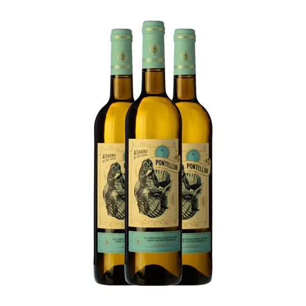 Tollodouro Pontellón Albariño Rías Baixas Joven 75 cl Vino Blanco (Caja de 3 unidades)