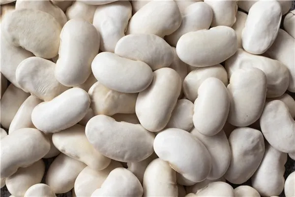 Alubia Plancheta Extra 1 kg – Legumbre Nacional de León