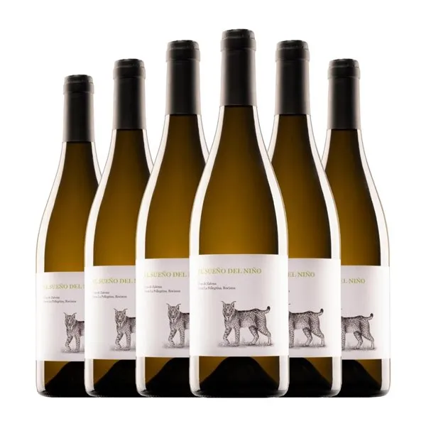 Contreras Ruiz El Sueño del Niño Zalema Condado de Huelva 75 cl Vino Rosado (Caja de 6 unidades)