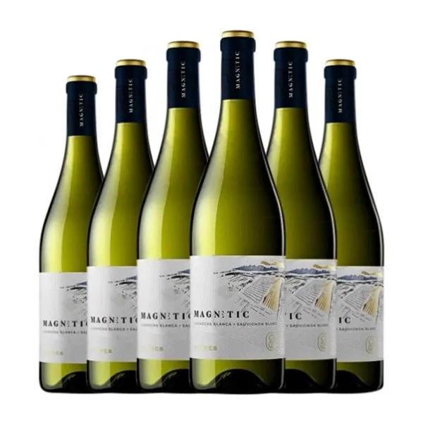 Torres Magnetic Catalunya Joven 75 cl Vino Blanco (Caja de 6 unidades)