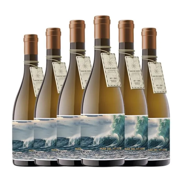 Vía Atlántica Mar del Norte Albariño Rías Baixas Joven 75 cl Vino Blanco (Caja de 6 unidades)