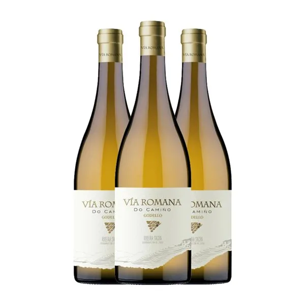 Vía Romana Ribeira Sacra 75 cl Vino Blanco (Caja de 3 unidades)
