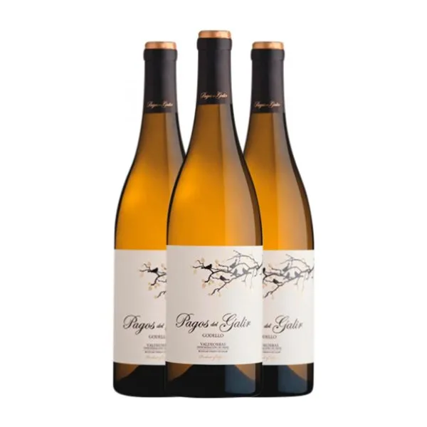 Virxe de Galir Pagos Godello Valdeorras 75 cl Vino Blanco (Caja de 3 unidades)