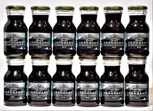 Zumo natural de arándanos sin azúcar añadido - 12 unidades